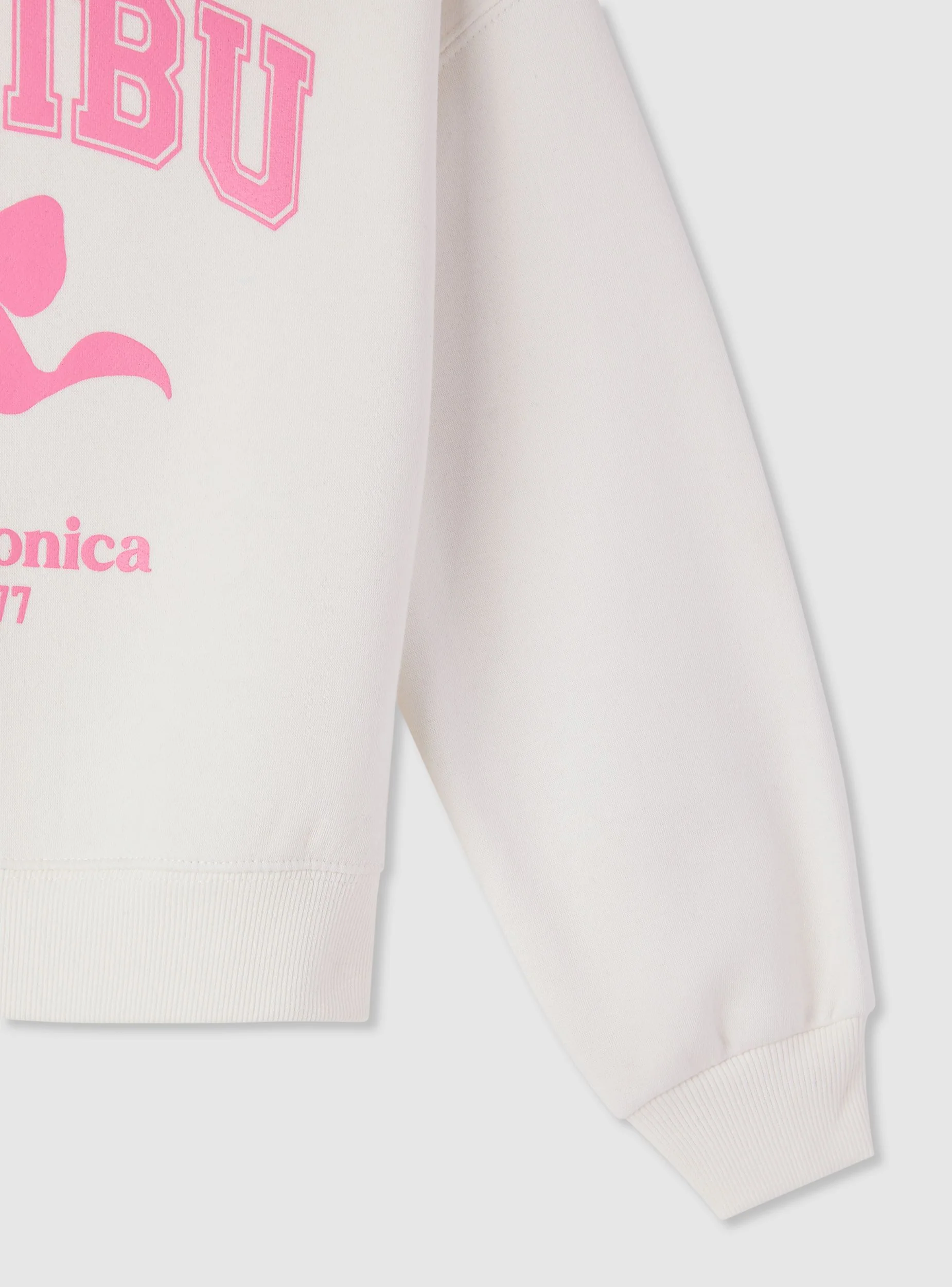 Felpa crop con cappuccio e stampa college - Image 6