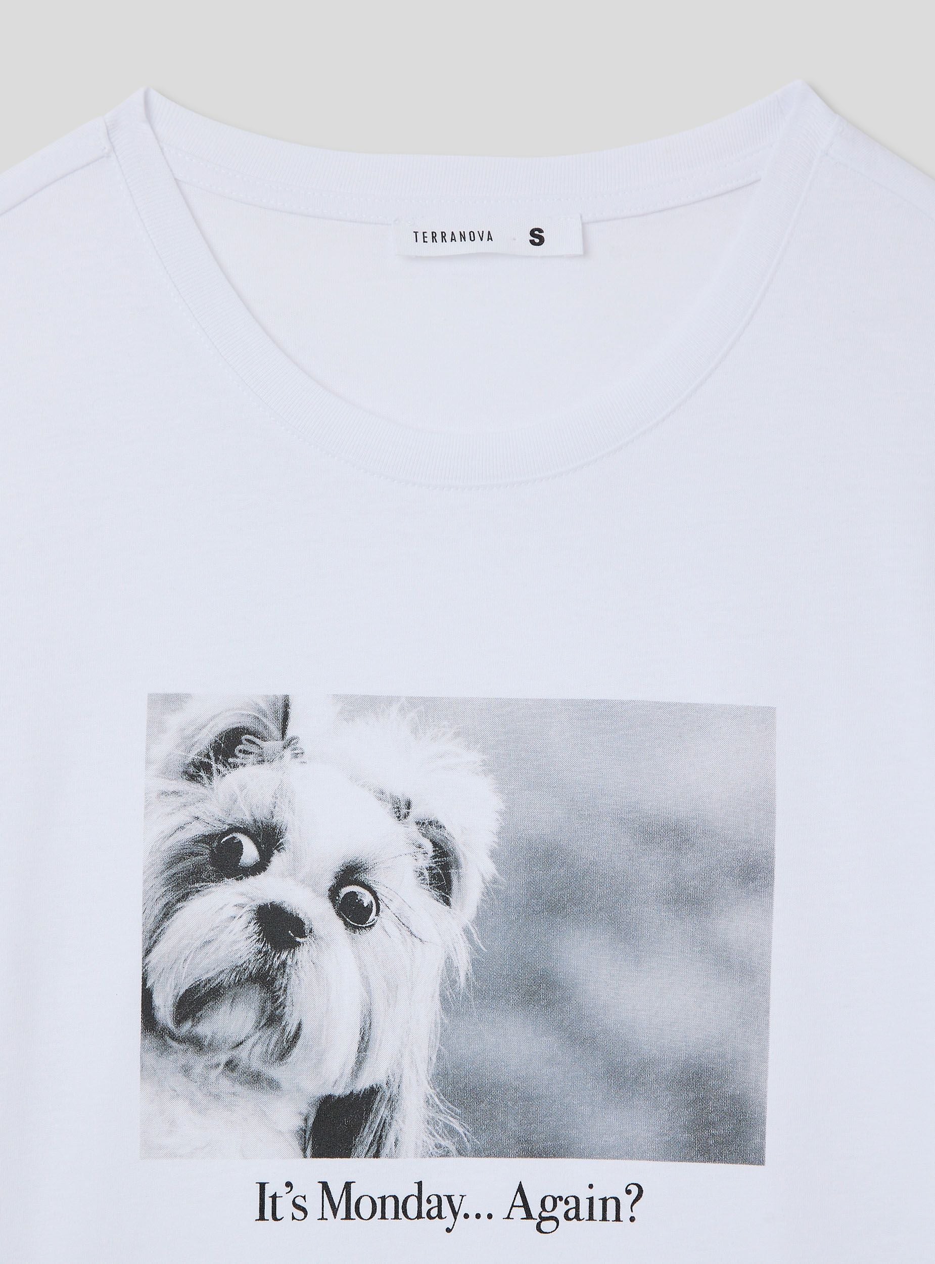T-shirt foto divertente cagnolino - Image 4