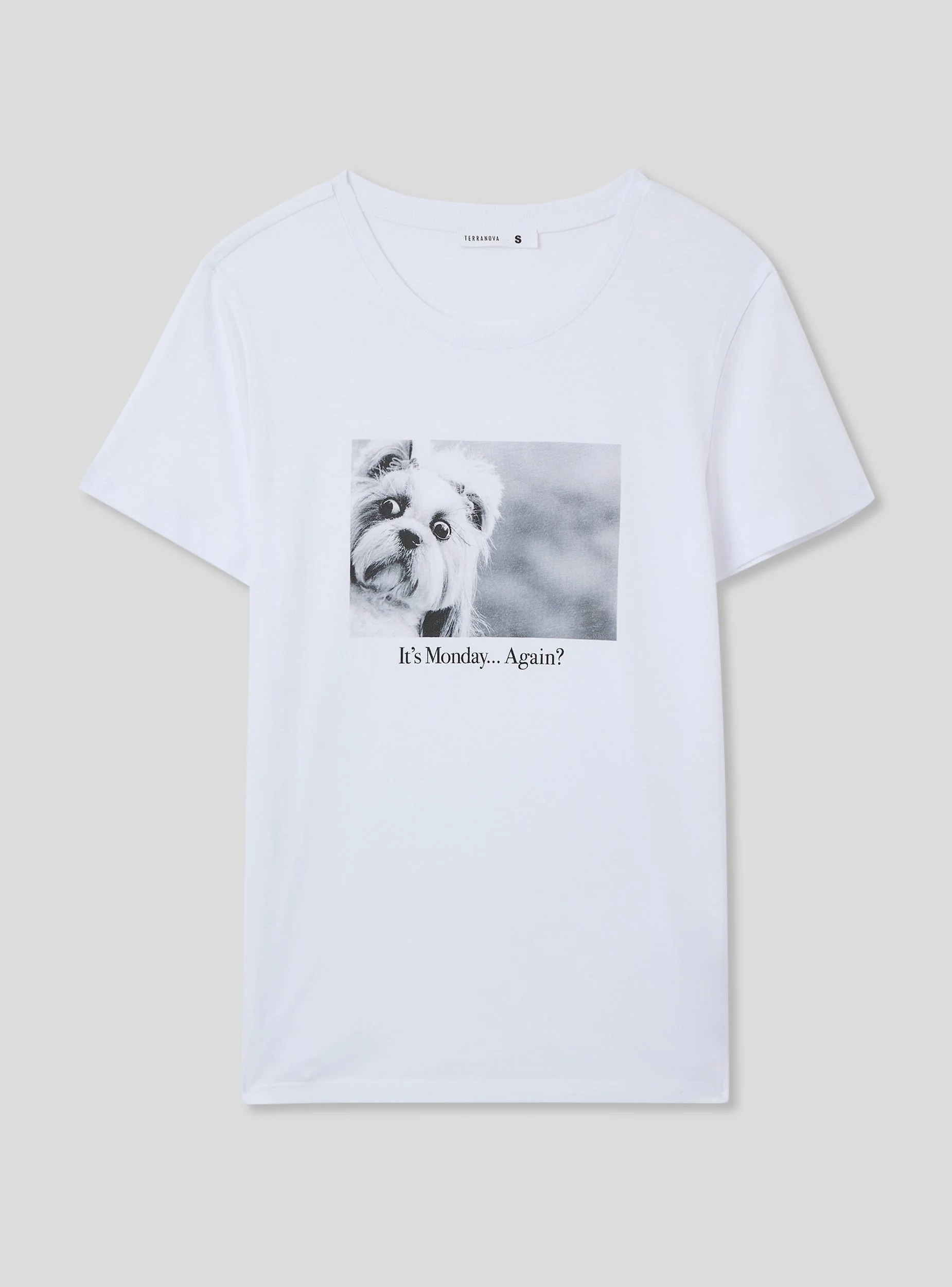 T-shirt foto divertente cagnolino - Image 5