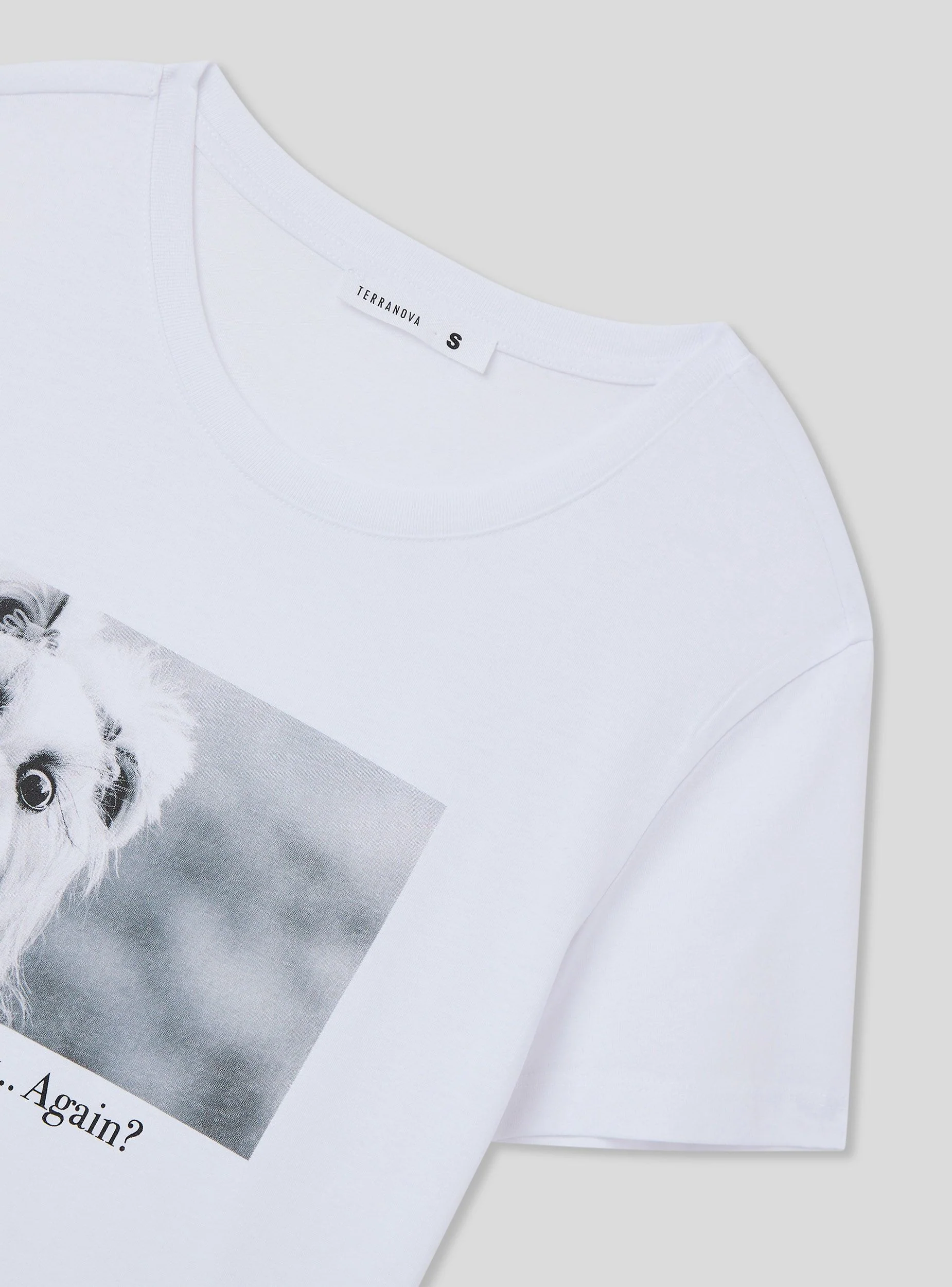 T-shirt foto divertente cagnolino - Image 6
