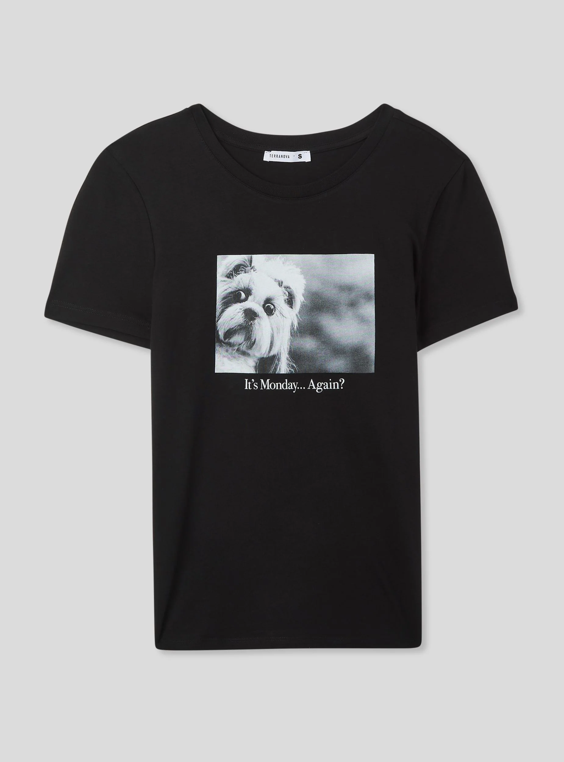T-shirt foto divertente cagnolino - Image 4